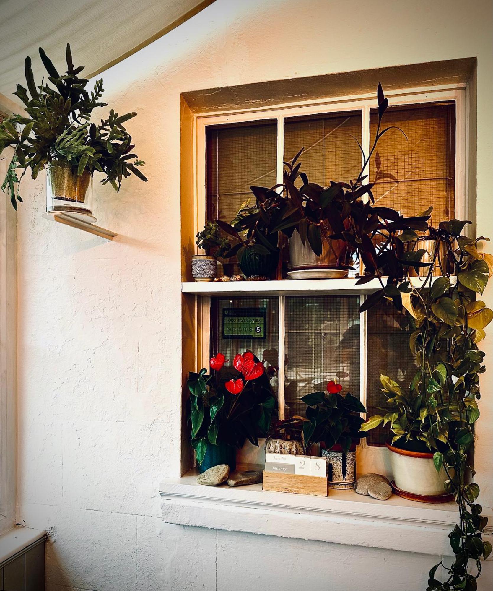 Bed and Breakfast The Laindons Hastings Exteriér fotografie